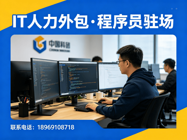 苏州IT人力外包解决方案：程序员驻场开发如何破解企业技术人才困境