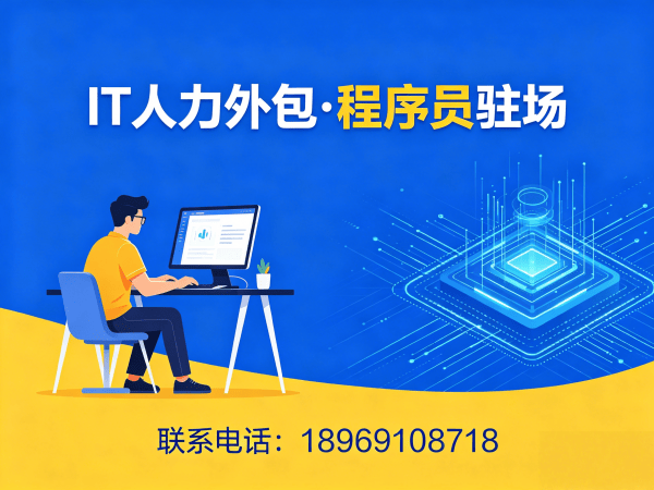武汉IT人力外包解决方案：程序员驻场服务如何破解企业技术人才难题