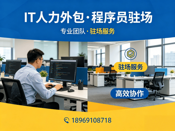 天津IT人力外包解决方案：软件项目人力外包服务如何解决企业技术人才难题