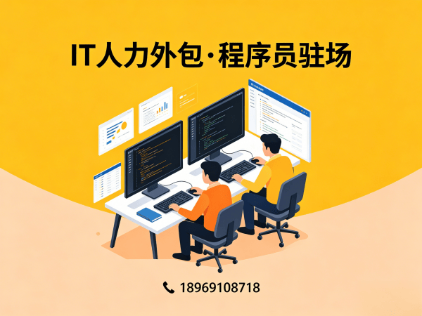 西安IT项目紧急缺程序员外包解决方案，快速解决技术人才短缺难题