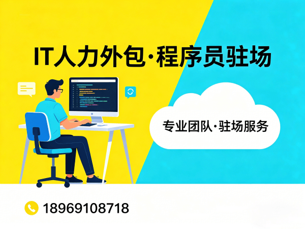 泉州企业IT人力外包解决方案：后端程序员开发外包如何高效解决技术人才难题