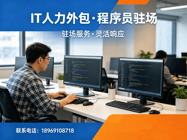 合肥IT人力外包解决方案：程序员大数据工程师驻场开发的五大核心价值