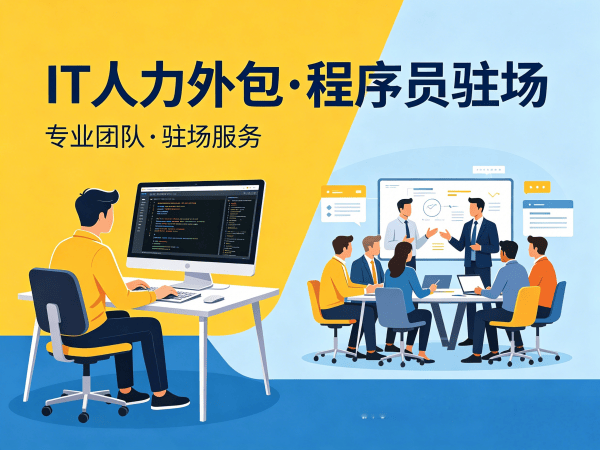 天津IT人力外包怎么找？靠谱驻场开发团队怎么找解决方案