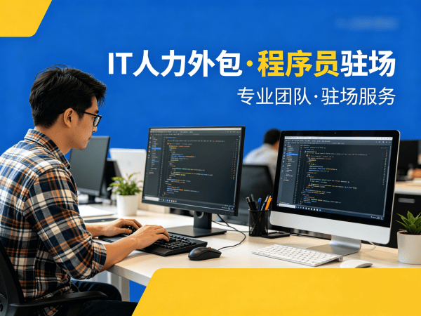 天津IT人力外包解决方案：破解企业招聘难题，实现技术团队高效搭建