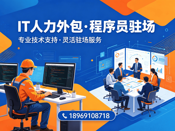 天津企业IT人力外包解决方案：程序员驻场开发快速响应