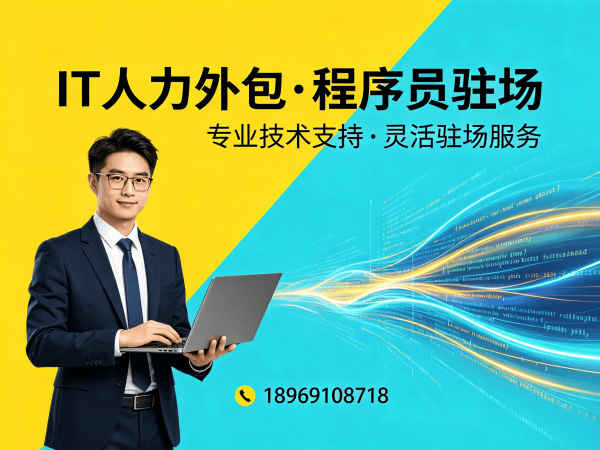 武汉Python程序员驻场人力外包解决方案：如何高效解决企业IT人才短缺难题